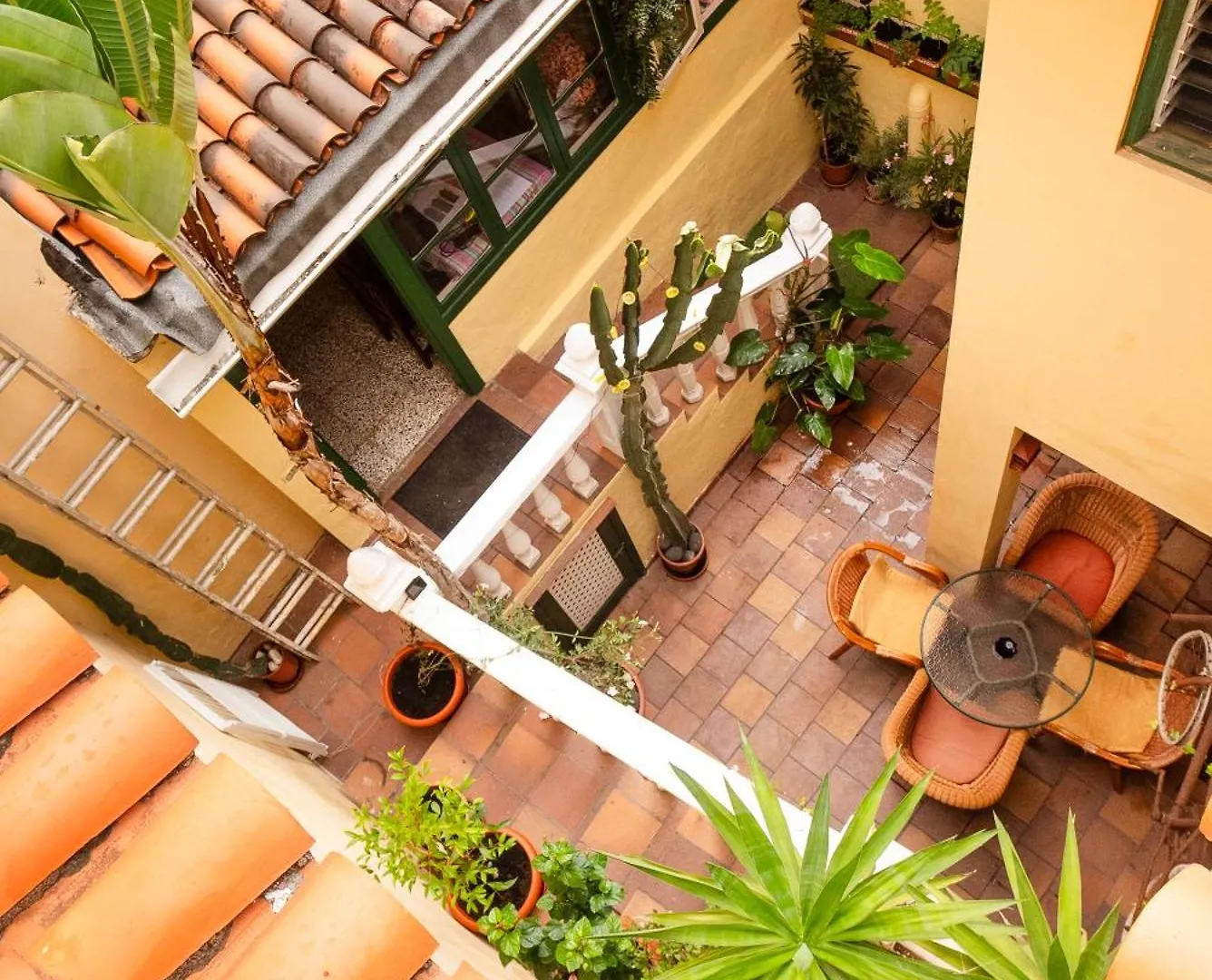 Hostel Tenerife La Orotava 0*,